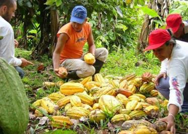 Sequía e inundación reducen producción del campo tabasqueño