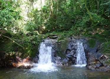 Dos menores mueren por rickettsiosis, picadura de garrapata en Nuevo León