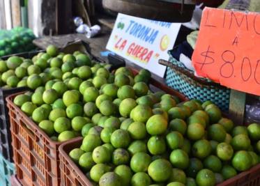 Se mantiene estable precio del limón