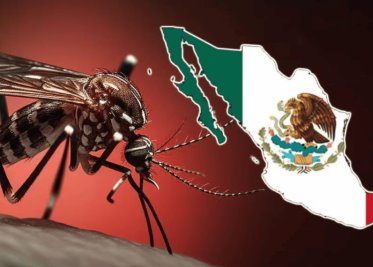 Alerta por mosquitos y piquetes mortales; México reporta aumento de casos de dengue