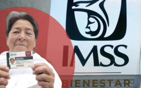 ¿Cómo debe ser la foto para la credencial del IMSS Bienestar?