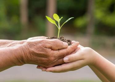 Día Mundial de la Salud Ambiental