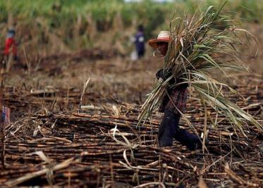 Se desploma producción de alimentos en Tabasco