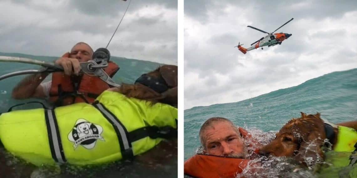 Salvan a hombre y su perro del mar durante paso de Helene en EU