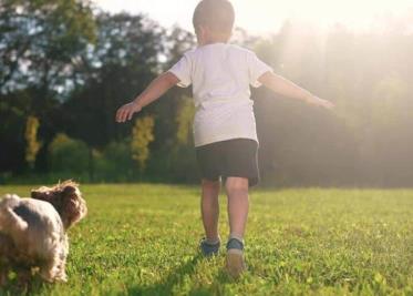 Niño con epilepsia tumoral aprende a caminar con ayuda de su perro