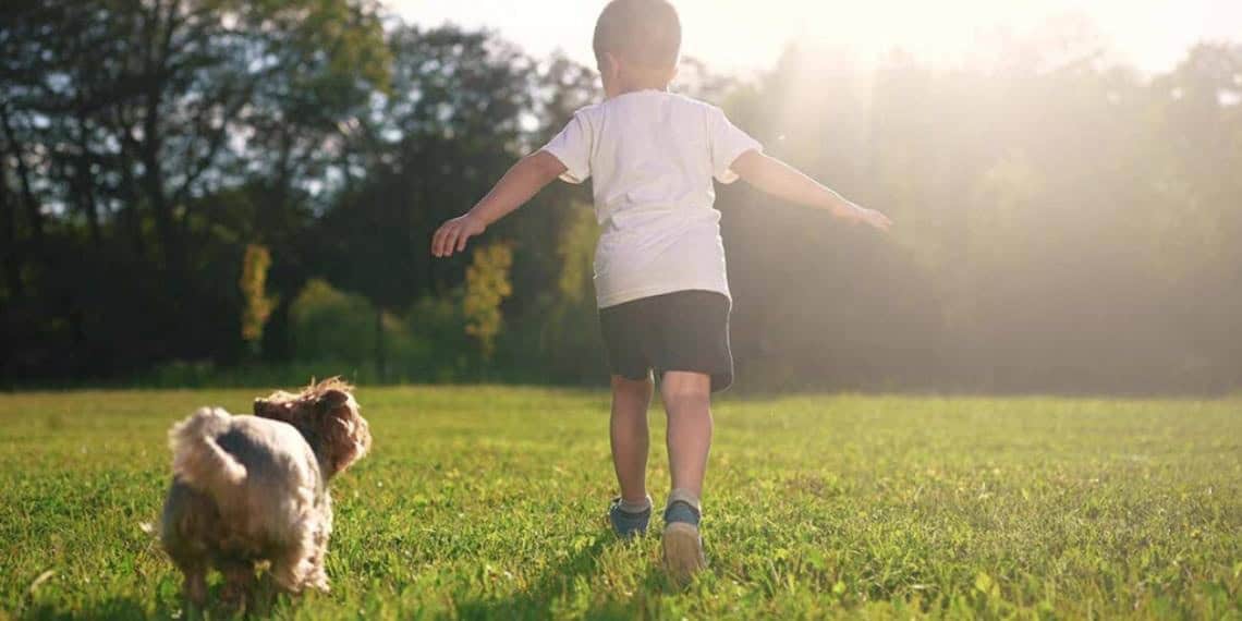 Niño con epilepsia tumoral aprende a caminar con ayuda de su perro