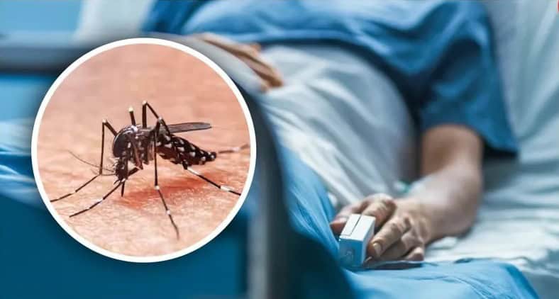 Dengue en Guanajuato suma mil 688 casos; se posiciona en lugar 17 a nivel nacional