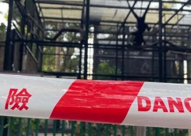 Un zoológico de Hong Kong investiga la muerte de 9 monos en dos días