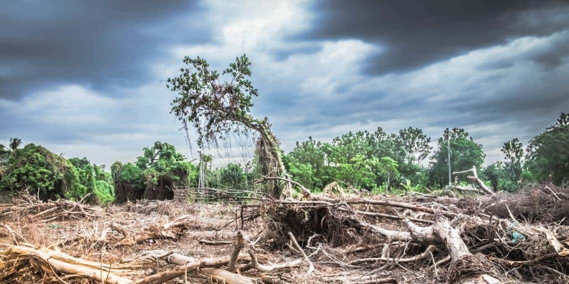 Cambio Climático y Eventos Meteorológicos Extremos