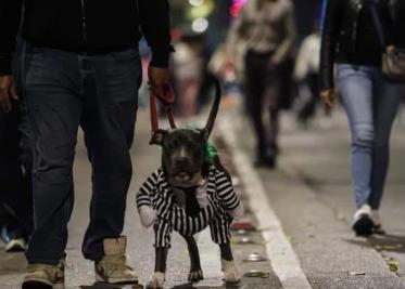 Payasos terroríficos, calaveras y hasta Batman participan en el Paseo Nocturno por Día de Muertos; las mascotas también están presentes