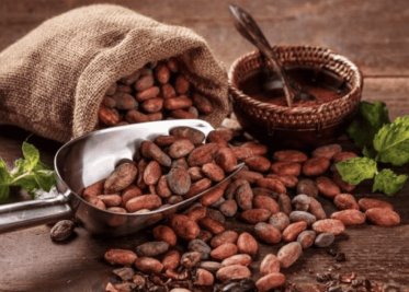 El cacao y el enjambre