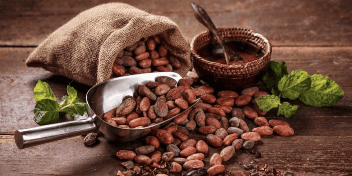 El cacao y el enjambre