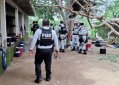 Aseguran campamento delictivo escondido entre una huerta de mango en Costa Grande, Guerrero