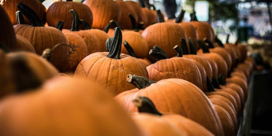 Esto podrían gastar los mexicanos para celebrar Halloween