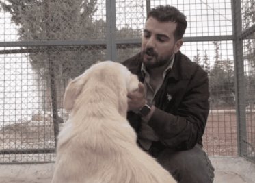 Hombre en Jordania ofrece refugio a perros que huyen de la guerra en el Líbano